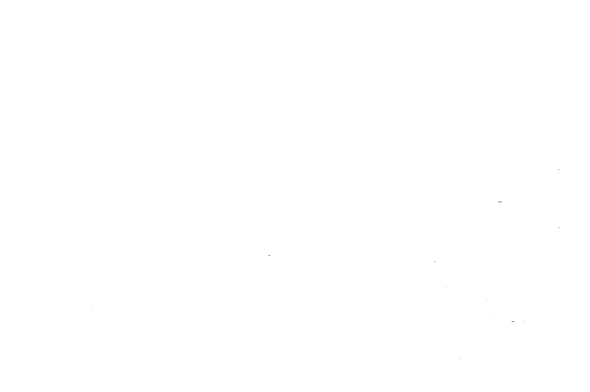 Gynécologie Équine blanc