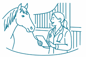 Choisir son logiciel equin - epivet