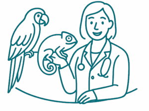 NAC - 10 bonnes pratiques pour les vétérinaires