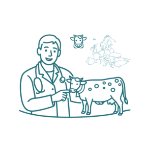 DNC - comparatif par pays