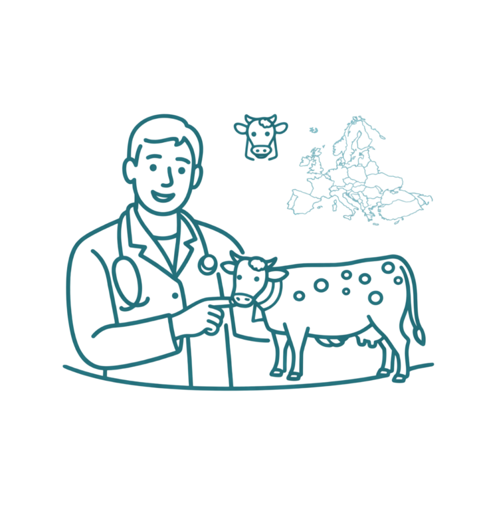 DNC - comparatif par pays
