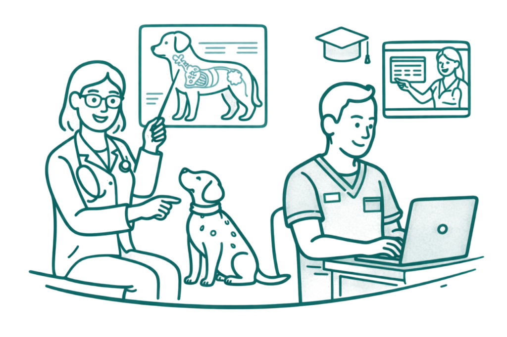 Illustration formation continue veterinaires epivet