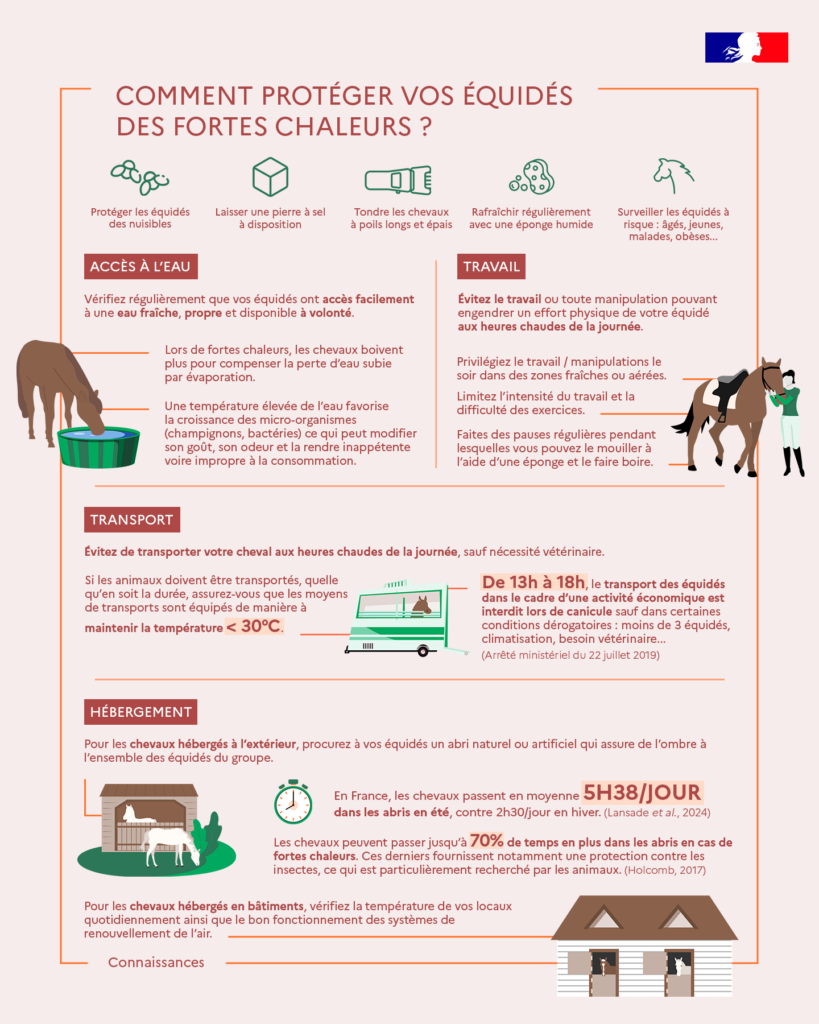 DIR-Infographie-fortes-chaleurs